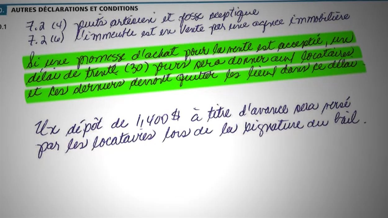 Des Clients Mal Proteges Contre Les Courtiers Immobiliers Fautifs Radio Canada Ca