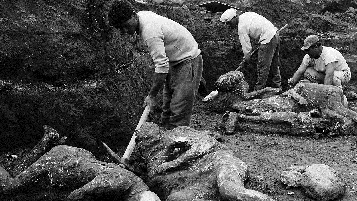 Archéologues déterrant des moulages de plâtre de victimes trouvées dans le jardin des Fugitifs
