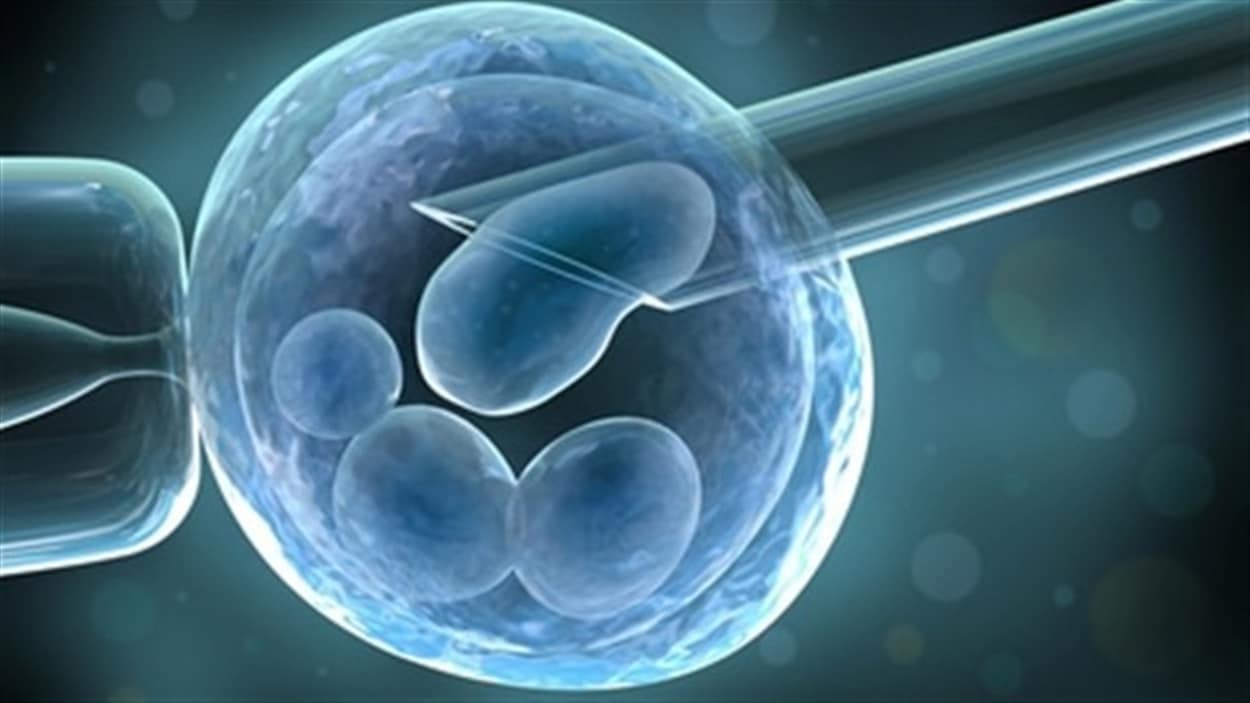 Le ministre Gaétan Barrette commente les coupures dans les traitements de fertilité