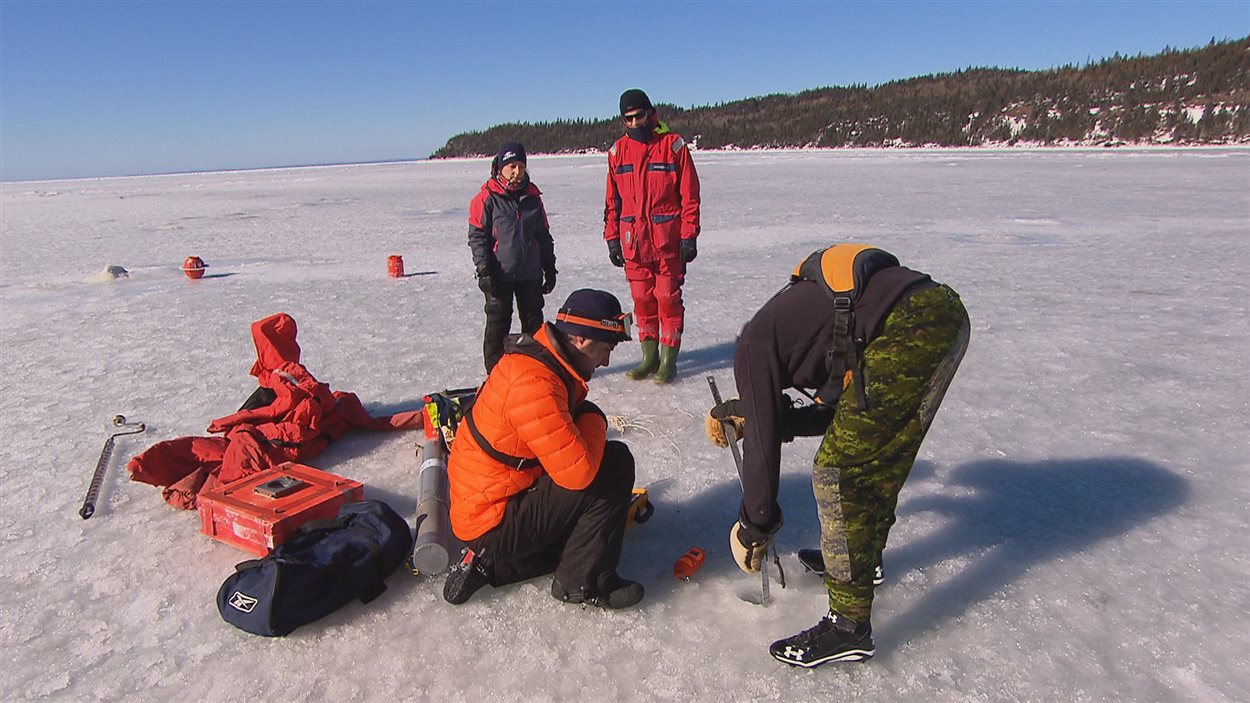 Les Glaces Du Saint-Laurent à L’étude | Radio-Canada.ca