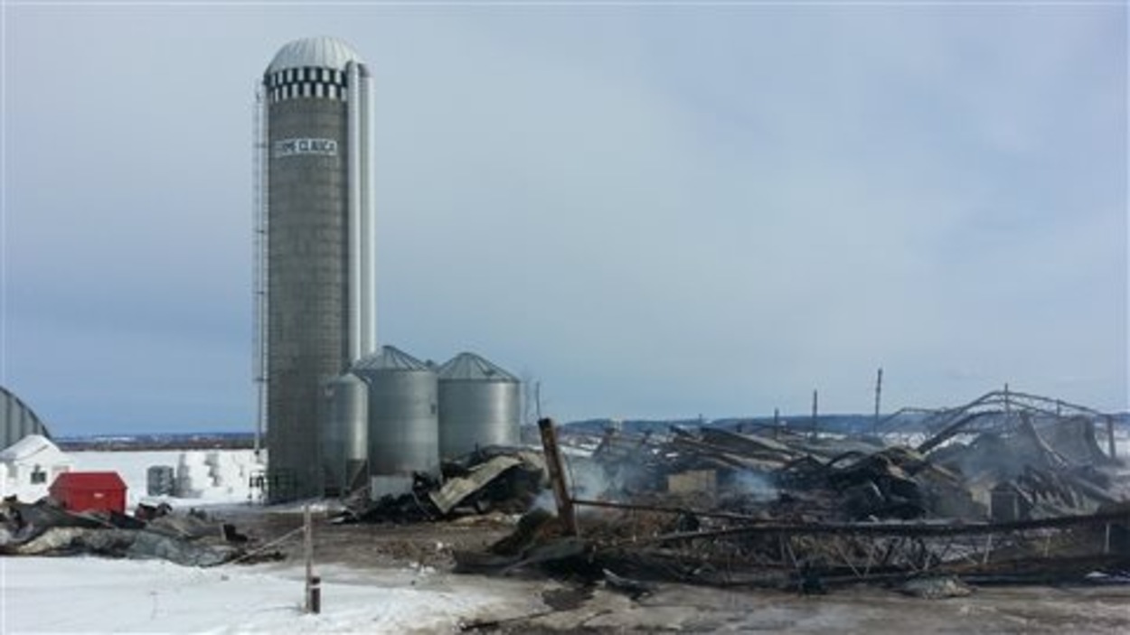 45 vaches périssent dans l'incendie d'une étable à SaintDenisDe La