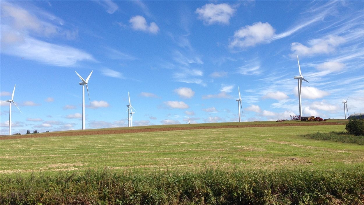 Un parc d'éoliennes à l'Île-du-Prince-Edouard