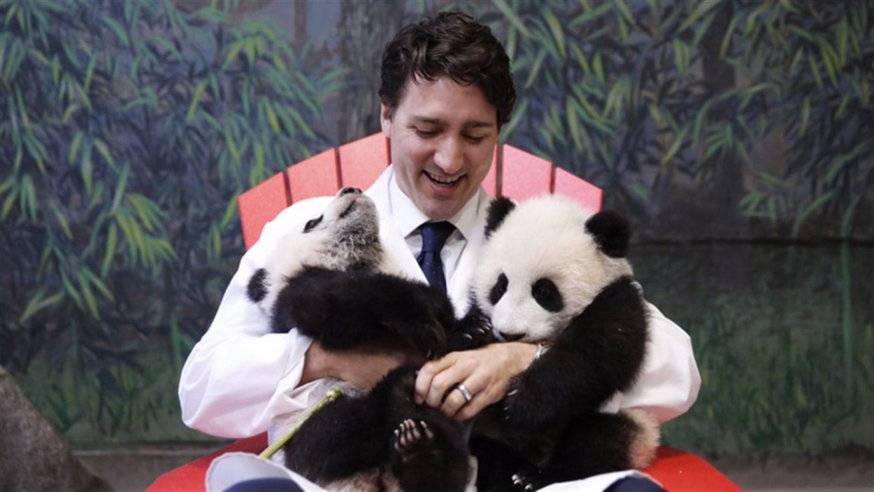 Justin Trudeau serre les bébés pandas dans ses bras au Zoo de Toronto.