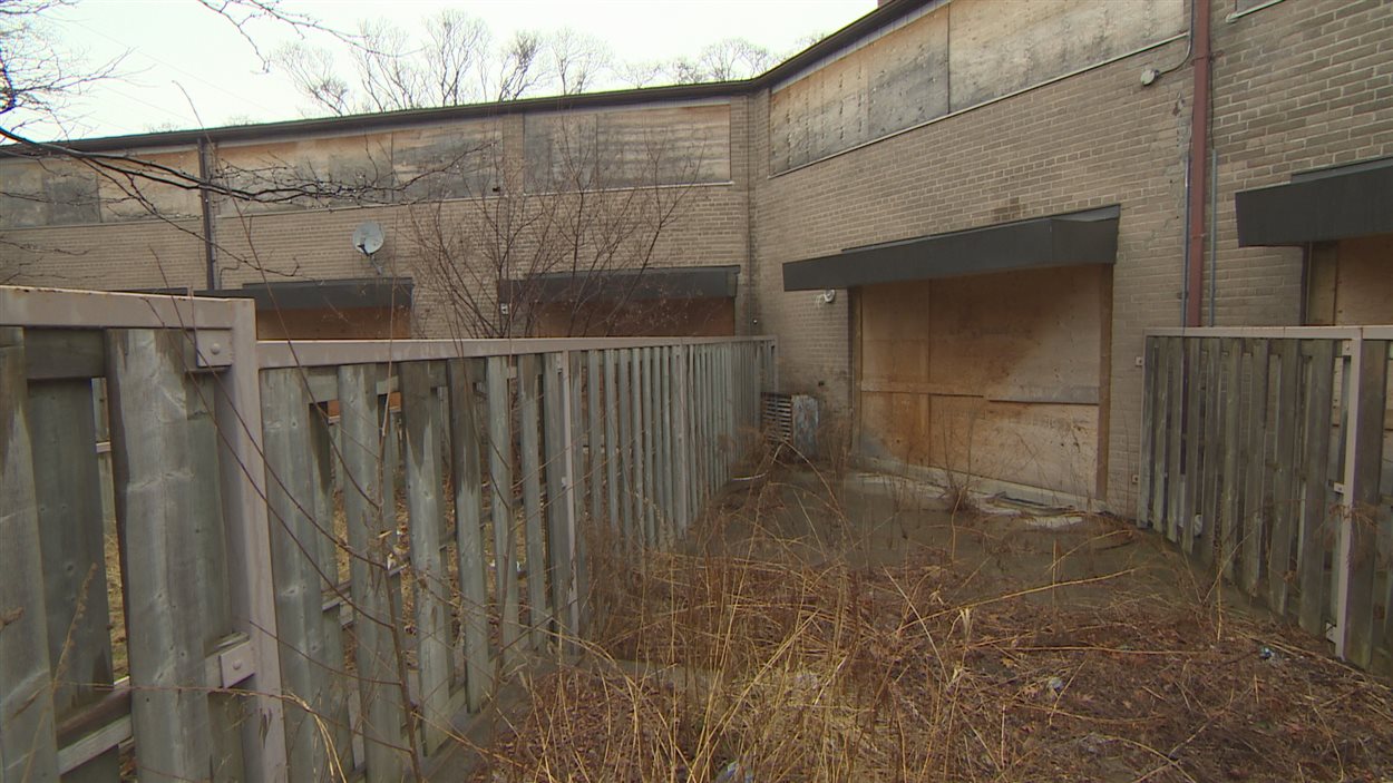 Un complexe de 18 maisons en rangée de la Société d'habitation de Toronto est placardé depuis 2008