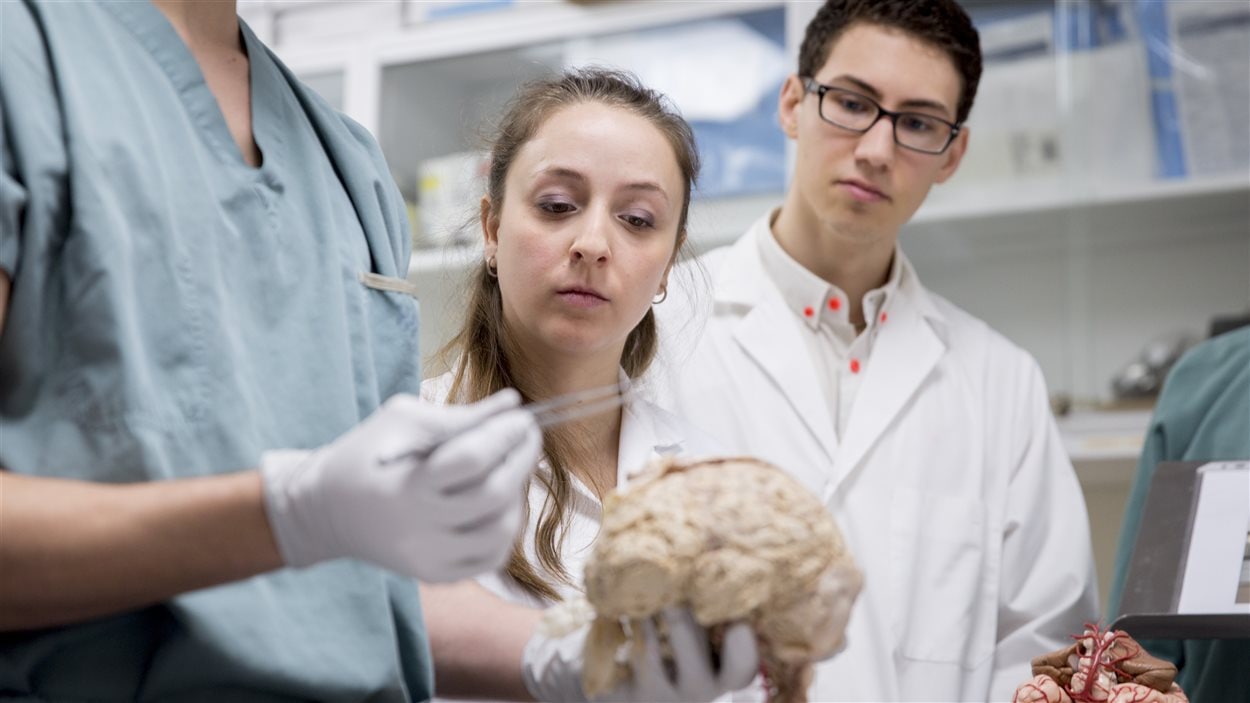 Des étudiants en médecine écoute une présentation sur le système nerveux central.