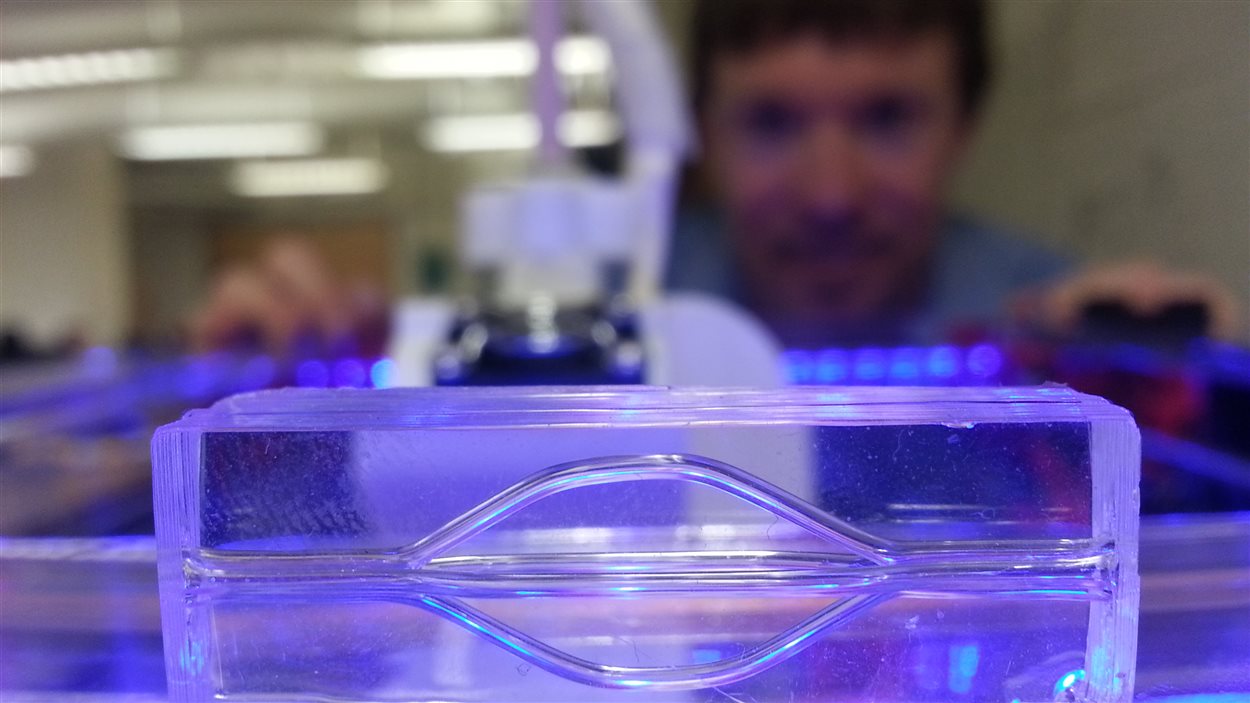 La structure de sucre est développée à l'aide d'une imprimante en trois dimensions.