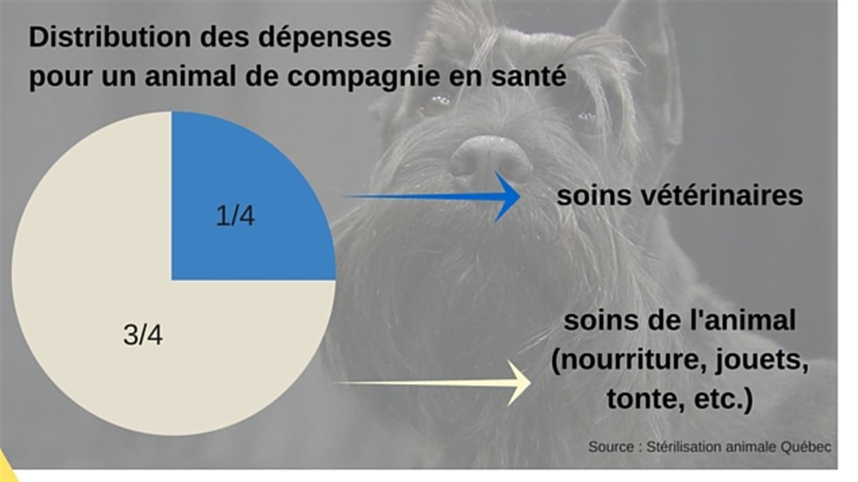 Des animaux attendrissants... mais attention aux achats