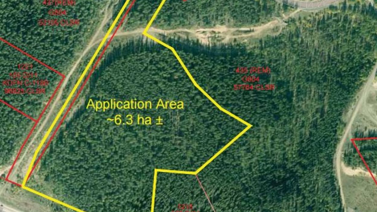 Un nouveau parcours de disc golf à venir à Whitehorse Zone Yukon