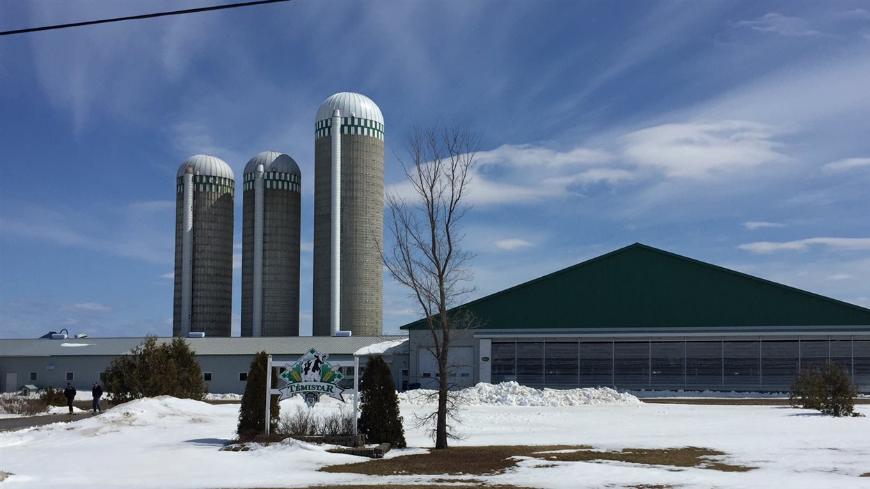 La ferme Témistar du Témiscamingue