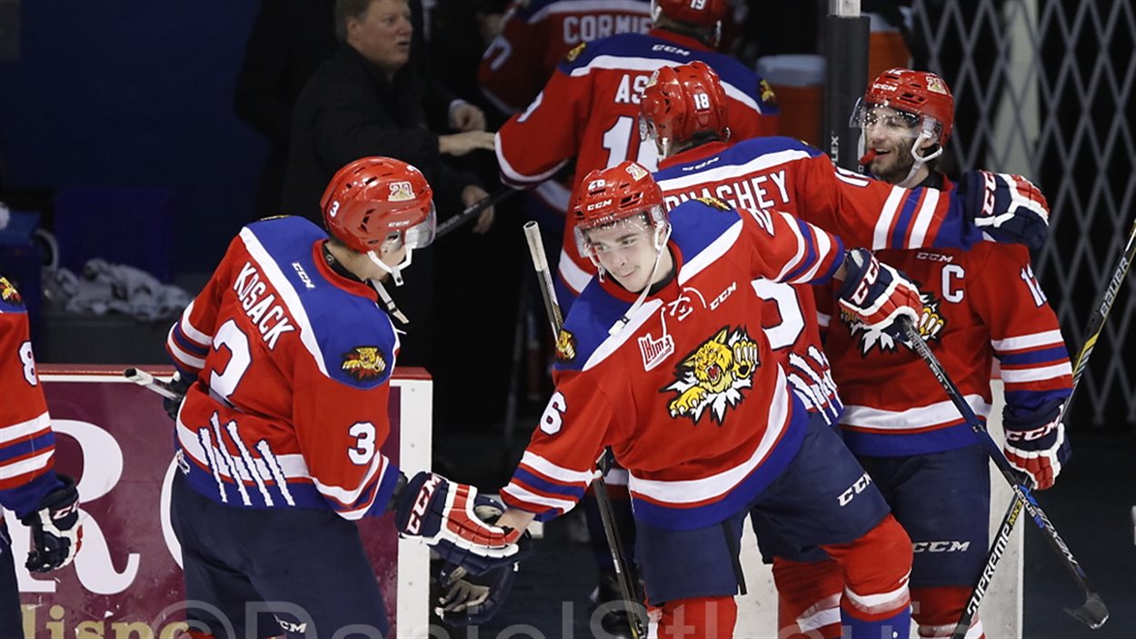 s-ries-de-la-lhjmq-les-wildcats-de-moncton-en-demi-finale-radio-canada