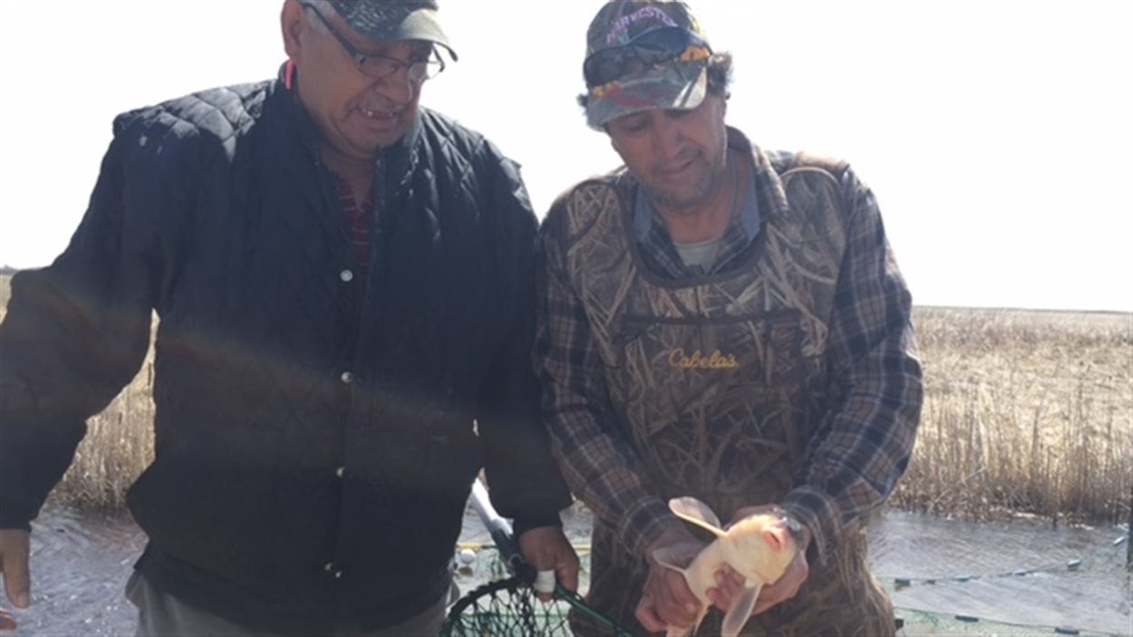 Deux pêcheurs commerciaux aux abords du lac Manitoba.