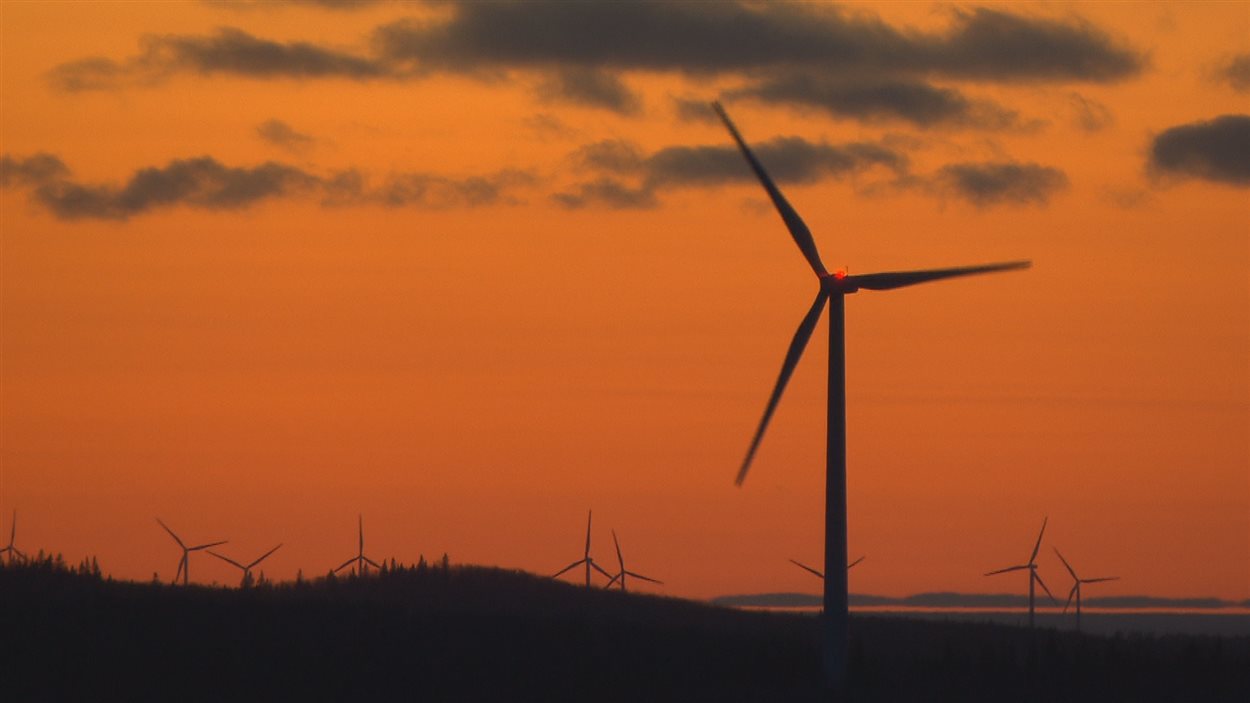 Parc éolien et coucher de soleil