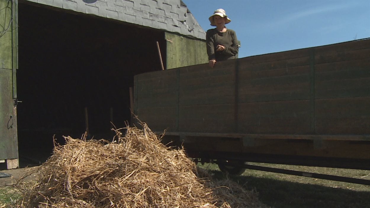 La ferme Largo la vie lente et majestueuse RadioCanada
