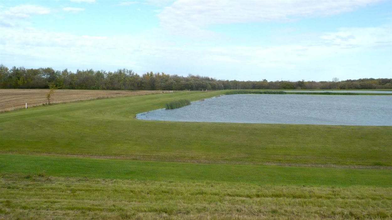 Le village de Saint-Pierre-Jolys propose à ses résidents un projet vert pour l'agrandissement du bassin d'épuration.