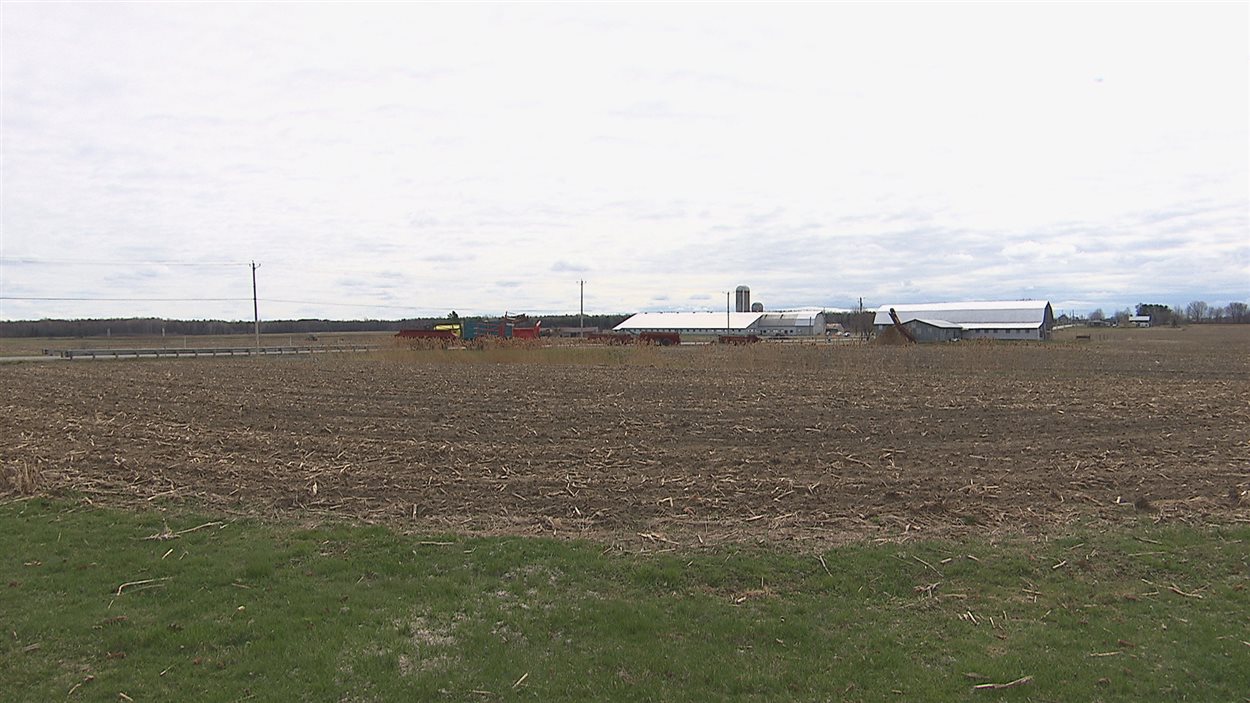 Une ferme à vendre pour 10 millions à Bécancour RadioCanada.ca Une ferme à vendre pour 10 millions à Bécancour RadioCanada.ca