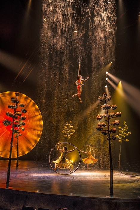 Luzia : le Cirque du Soleil revient à l’essentiel | Radio-Canada