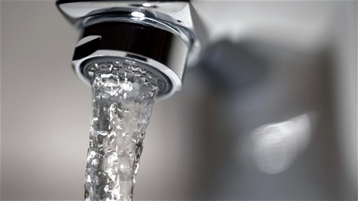 En 2012, une étude a révélé que la quantité de plomb dépassait les normes établies par Santé Canada dans 70 % des échantillons d'eau prélevés à Brandon au Manitoba.