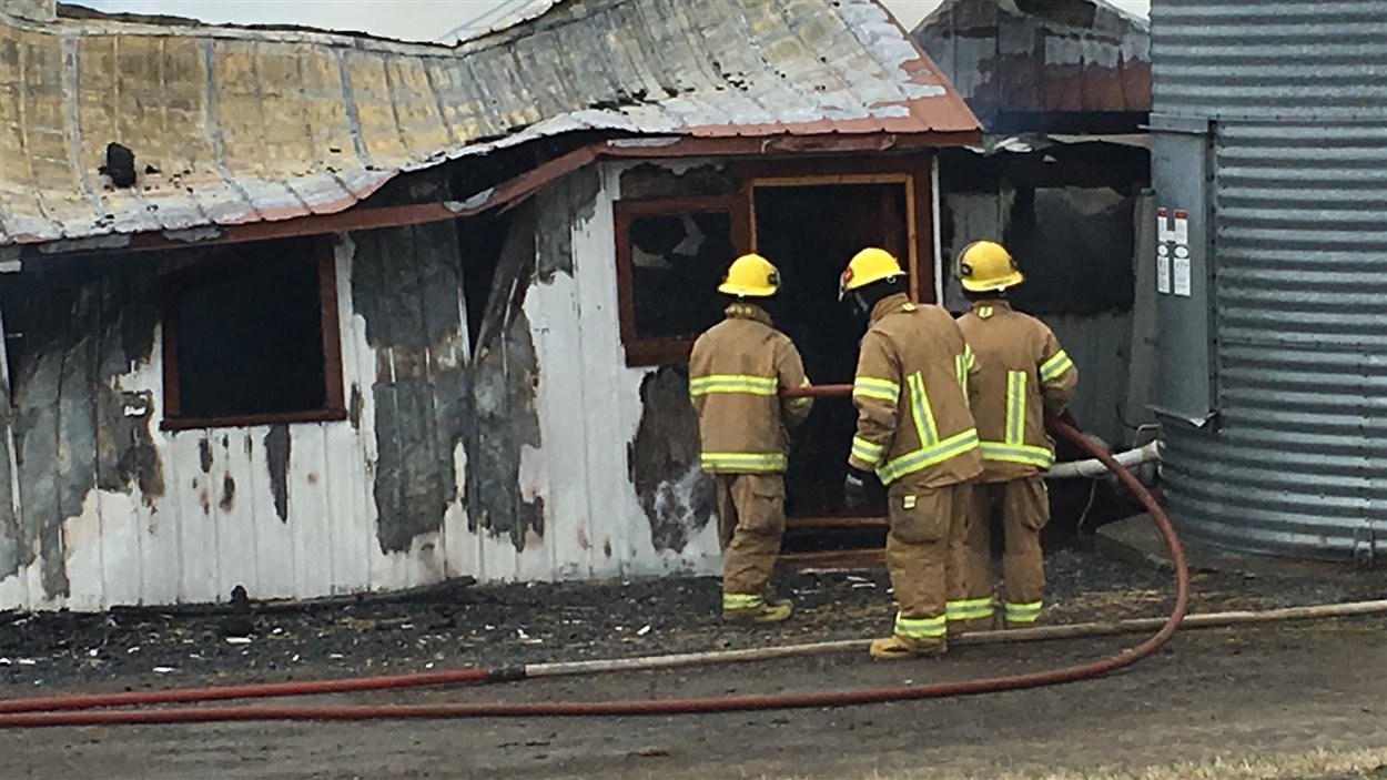 L'incendie d'une bergerie au Bic a tué 150 moutons.