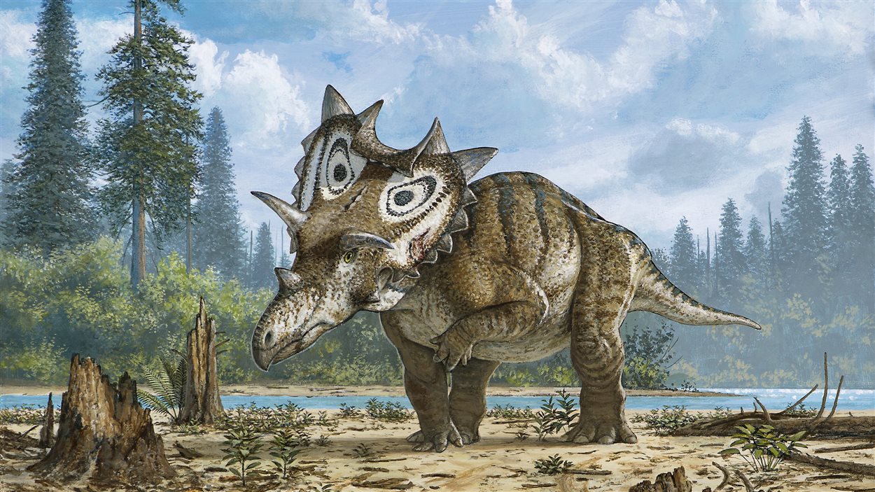 Représentation artistique du Spiclypeus shipporum, un dinosaure identifié par Jordan Mallon, du Musée canadien de la nature à Ottawa
