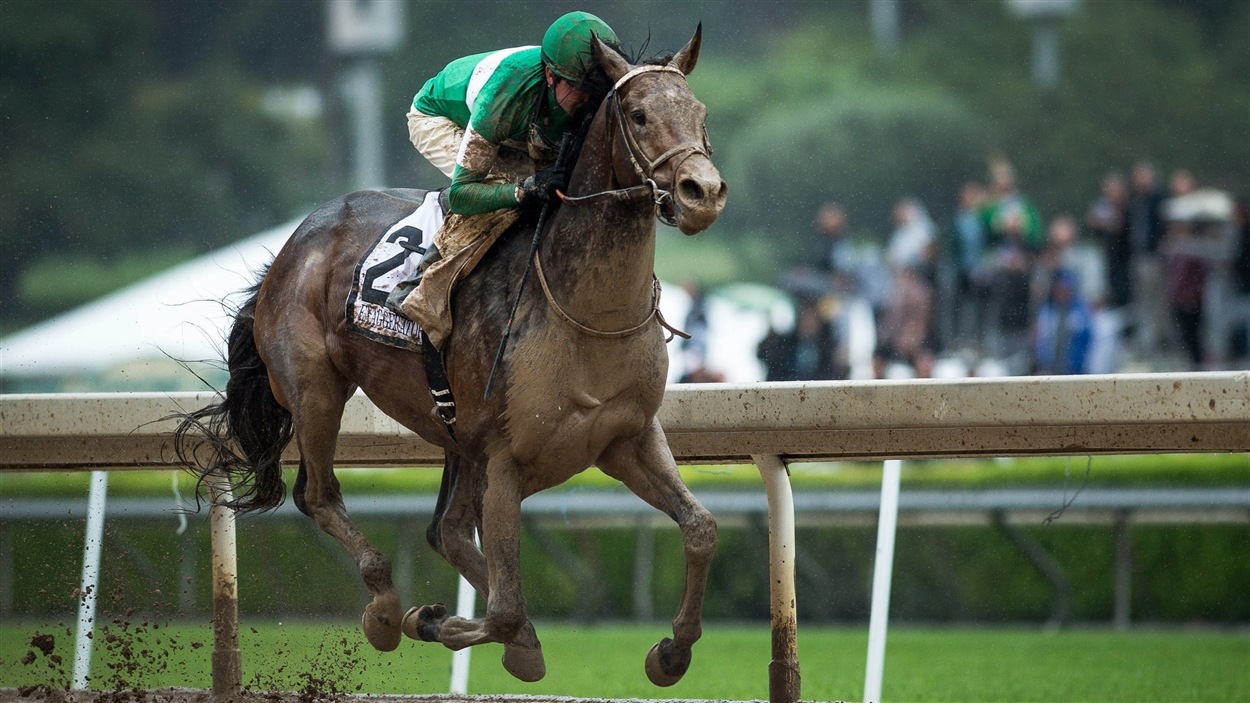 Exaggerator