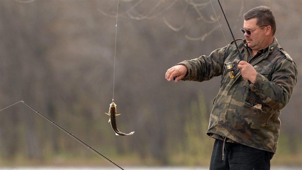 Un pêcheur vient de capturer un petit doré