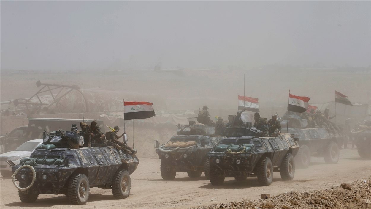 Les forces irakiennes se dirigent vers Falloujah.