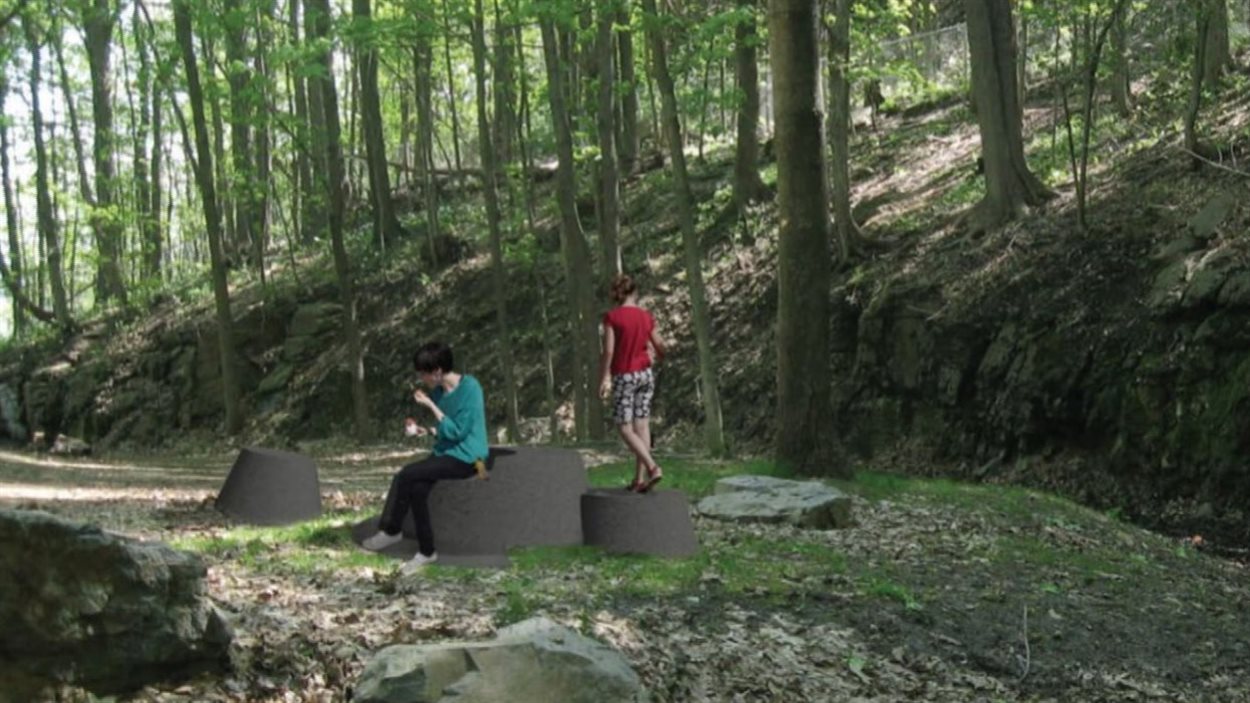 Le projet de souches de granit sur le mont Royal