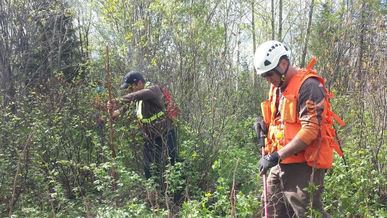 Battue en forêt pour retrouver des traces de Sindy Ruperthouse, disparue depuis le printemps 2014