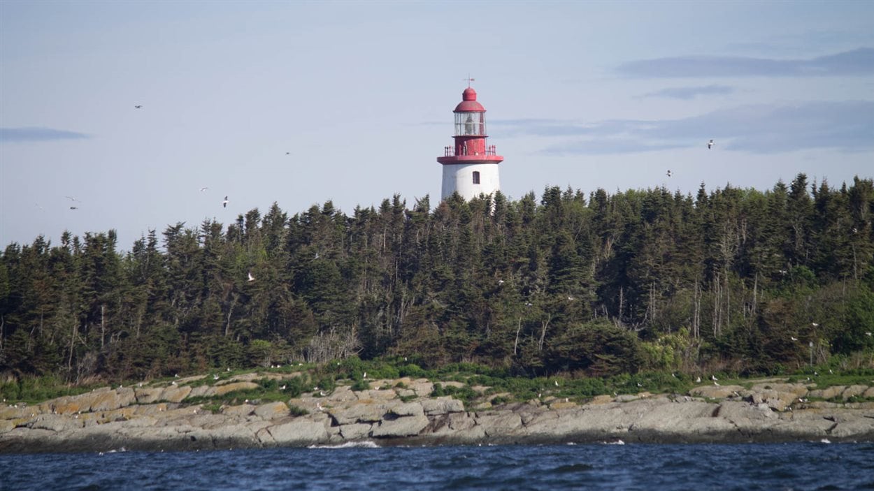 Le temps d'une journée, le Service canadien de la faune nous a permis d'accoster sur l'île Bicquette, dont l'accès est habituellement interdit.