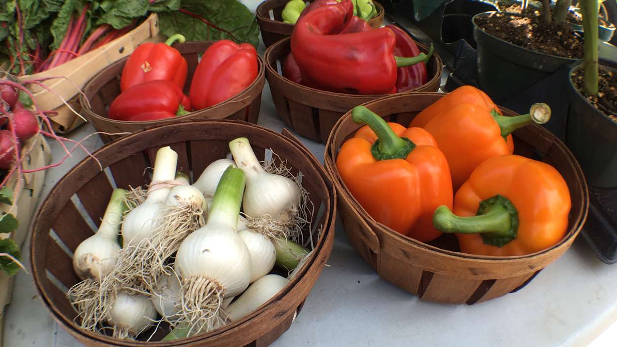 aliments-locaux