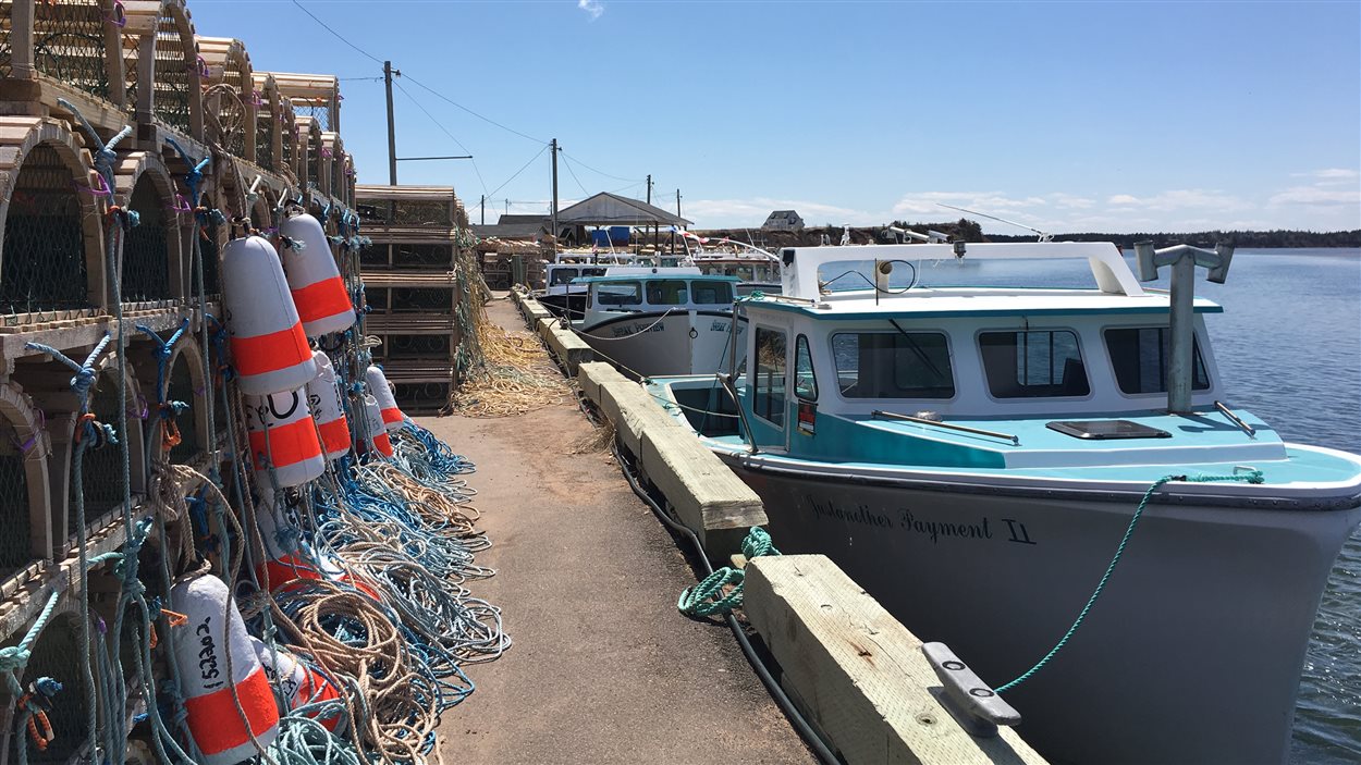 Des bateaux de pêche au homard à l'Île-du-Prince-Édouard