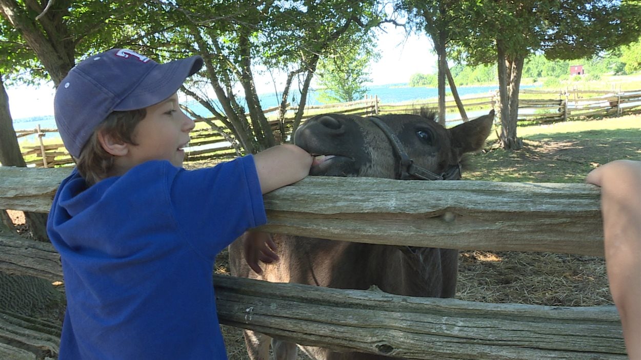 Ethan Tomney découvre les animaux de la ferme.