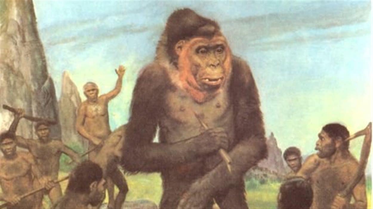 Gigantopithecus blackii