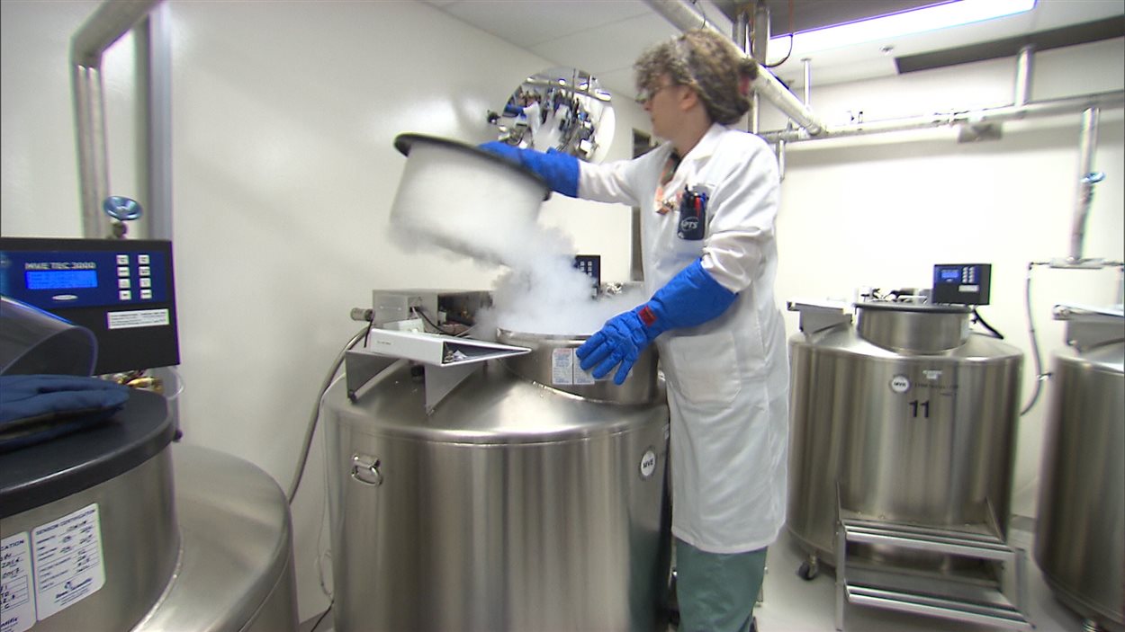 Une employée à l'oeuvre à l'Hôpital Maisonneuve-Rosemont, qui accueillera le Centre de commercialisation en immunothérapie du cancer.