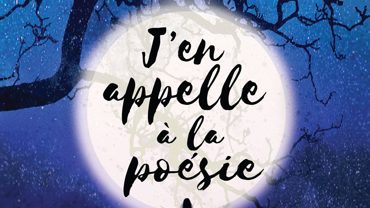 La poésie à l'honneur à SaintVenantdePaquette RadioCanada