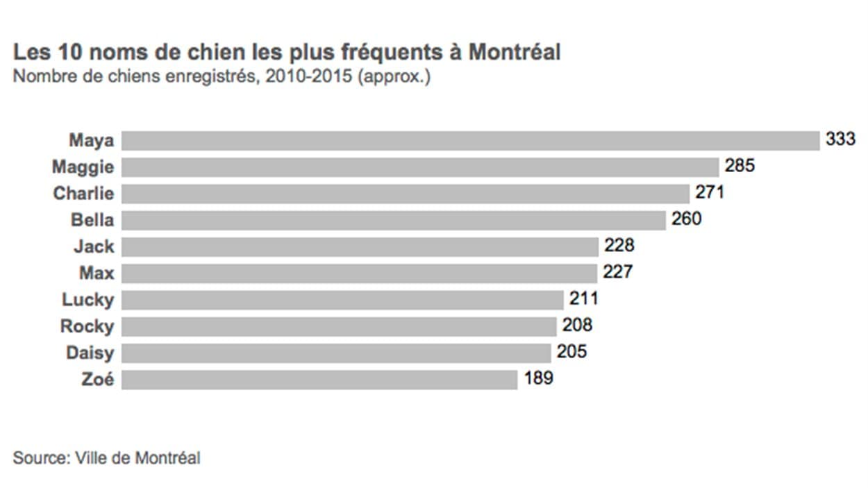 Votre Chien Ou Votre Chat A T Il Un Nom Original Radio Canada Ca