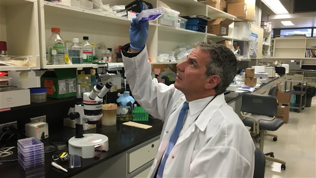 Le docteur en microbiologie Gary Kobinger est directeur du Centre de recherche en infectiologie de l'Université Laval.