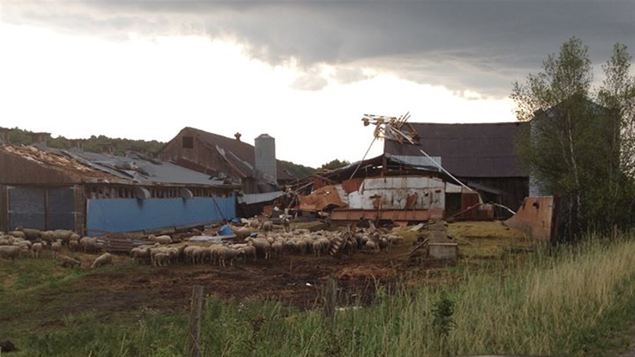 La Bergerie Hexagone de Richmond détruite par le vent.