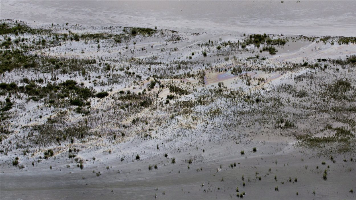 Du pétrole déversé dans la rivière Saskatchewan Nord près de Maidstone, en Saskatchewan.