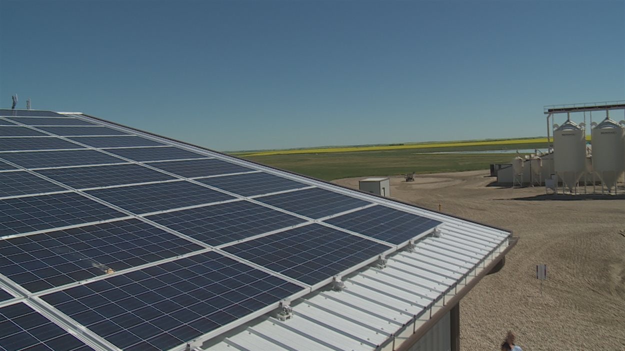 Une ferme de Brant, en Alberta, produit autant d'électricité qu'elle en consomme.
