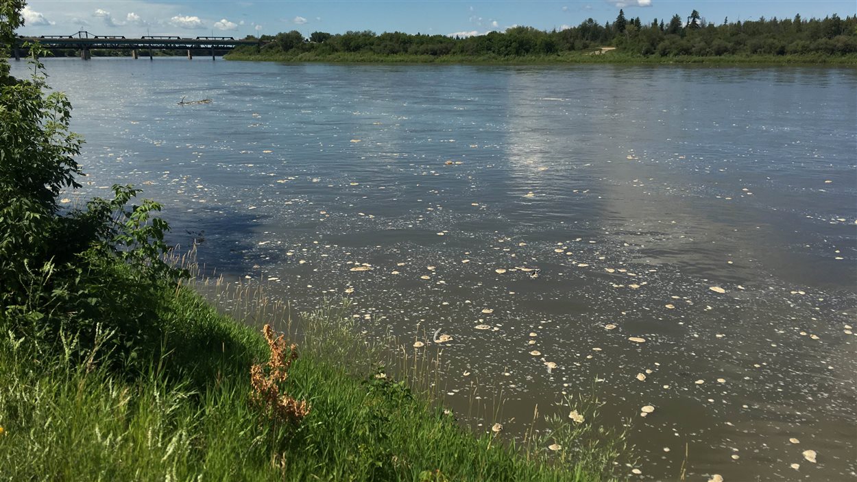 Déversement de pétrole dans la rivière Saskatchewan Nord