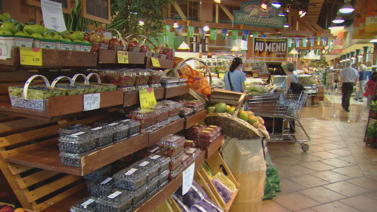 Les Bleuets Du Quebec Cherchent Leur Place En Epicerie Radio Canada Ca