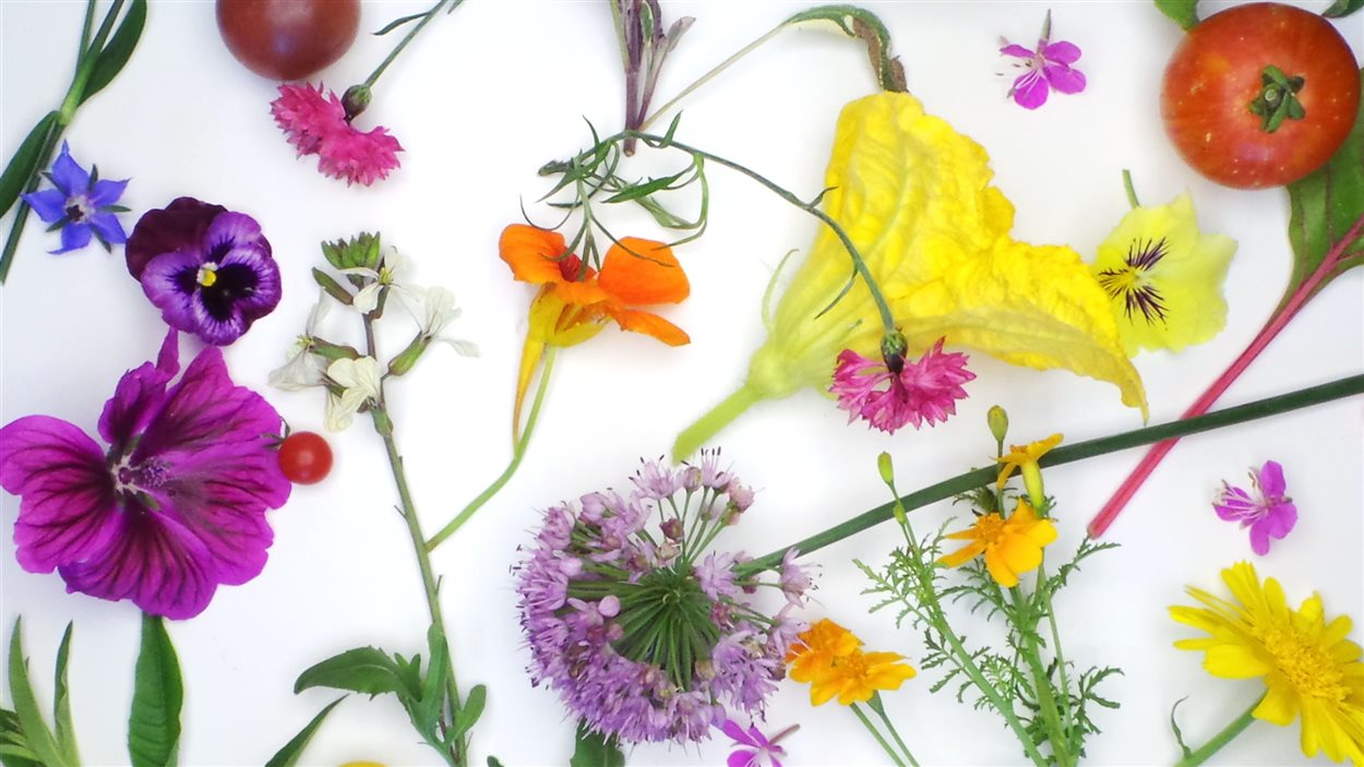 Le menu des Jardins de Métis va prendre de l'ampleur.
