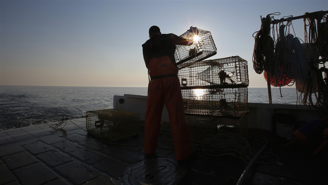 Un pêcheur de homards