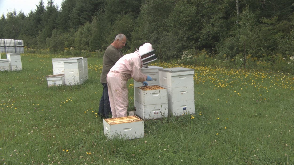 miel-ferme-herouxville