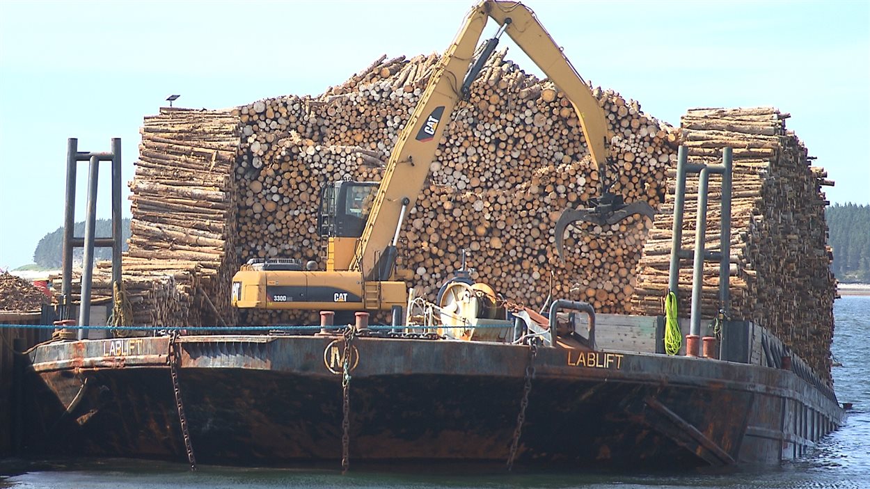 Manutention de bois récolté sur Anticosti.