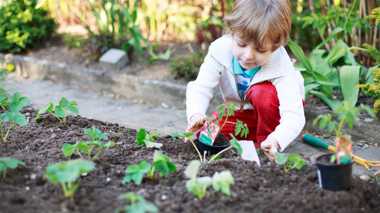 Les enfants peuvent apprendre à jardiner à l'école