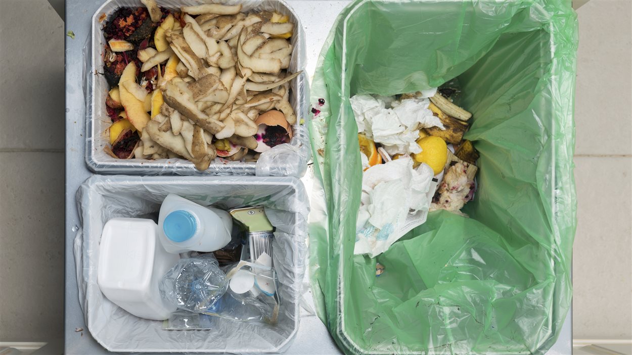 Des poubelles