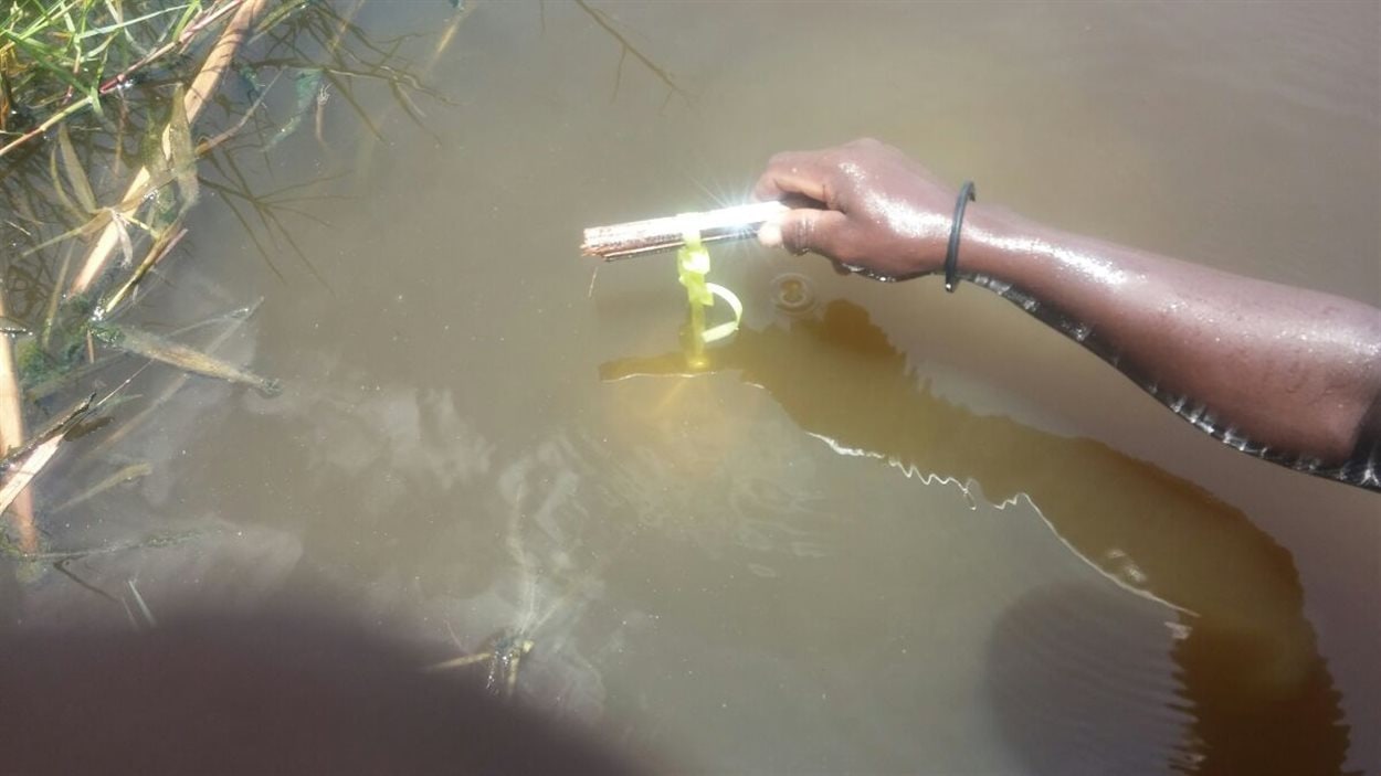 Technologies Écofixe, de Laval, utilise des bactéries pour assainir les eaux.