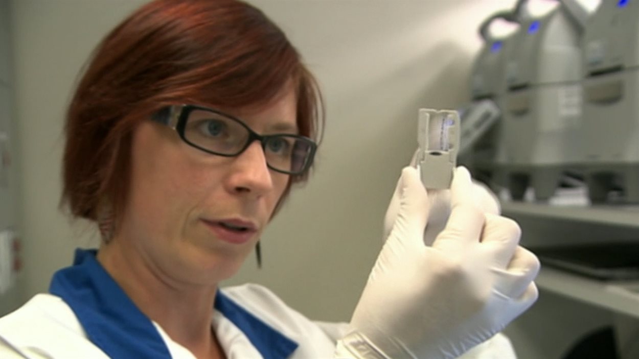 Laboratoire Analyse Saint Jean Pied De Port